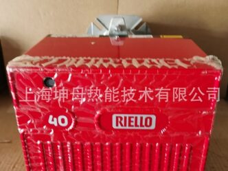 RIELLO 40 FS10 one-stage home heating boiler gas burner